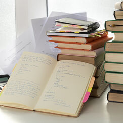 Обложка курса 'Литературоведение: теоретические и исторические аспекты'