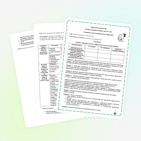 Практическая работа №6 «Решение экспериментальных задач по теме «Основные классы неорганических соединений»» (8 класс)