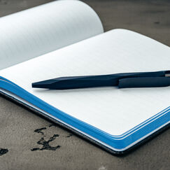 Обложка курса 'Сочинение по картине: А.А. Пластов «Первый снег» и Н.К. Рерих «Заморские гости»'