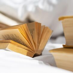 Обложка курса 'Виктор Гюго: творчество и философия романа «Человек, который смеётся»'