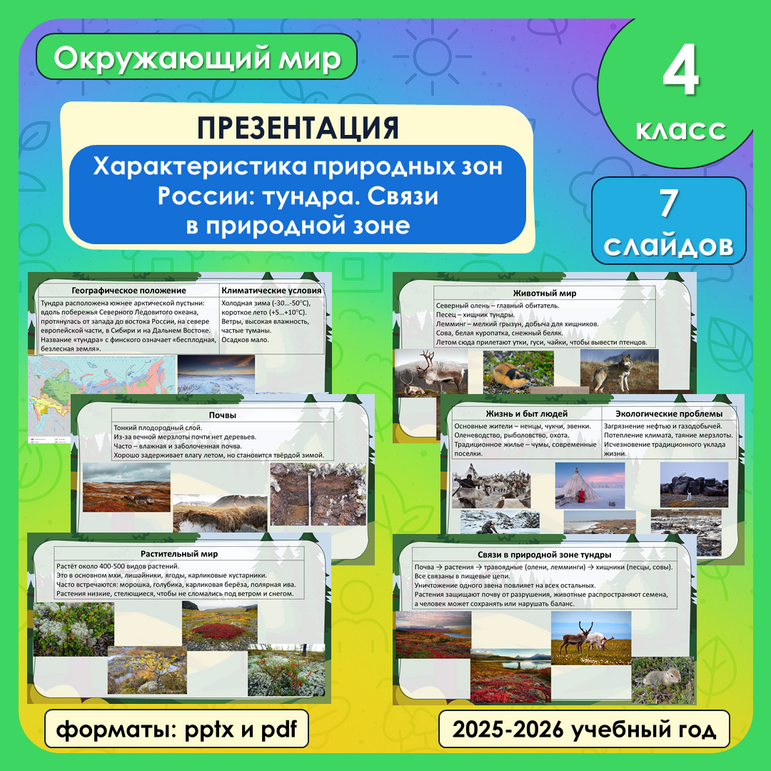 Презентация «Характеристика природных зон России: тундра. Связи в природной зоне»
