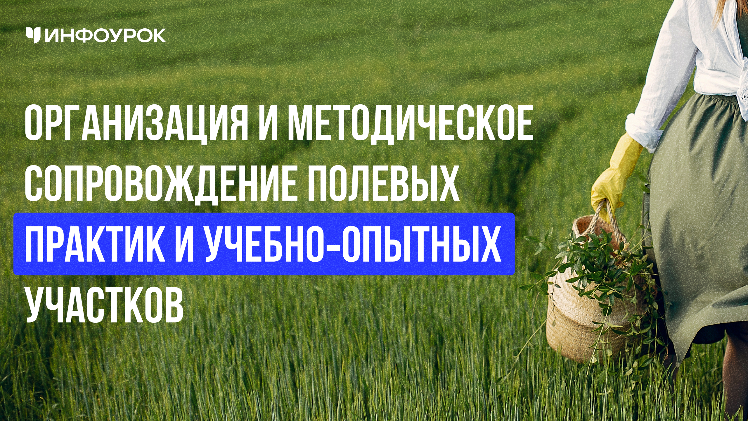 Обложка курса