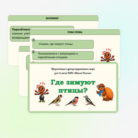 Презентация «Зимующие и перелётные птицы» Окружающий мир (1 класс)