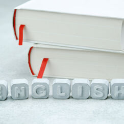 Обложка курса 'Основы английской грамматики и коммуникативных формул'