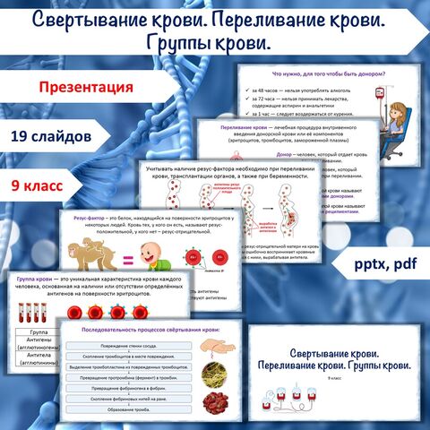 Презентация «Свертывание крови. Переливание крови. Группы крови», 9 класс