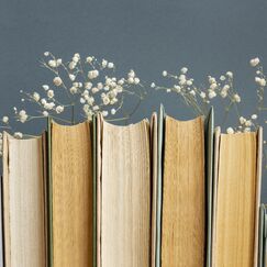 Обложка курса 'Литературное чтение в начальной школе: методика преподавания и карты Проппа'