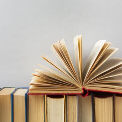 Обложка курса 'Написание сочинения по репродукции картины: С.А. Тутунов «Зима пришла. Детство», Ф.П. Толстой «Букет цветов, бабочка, птичка»'