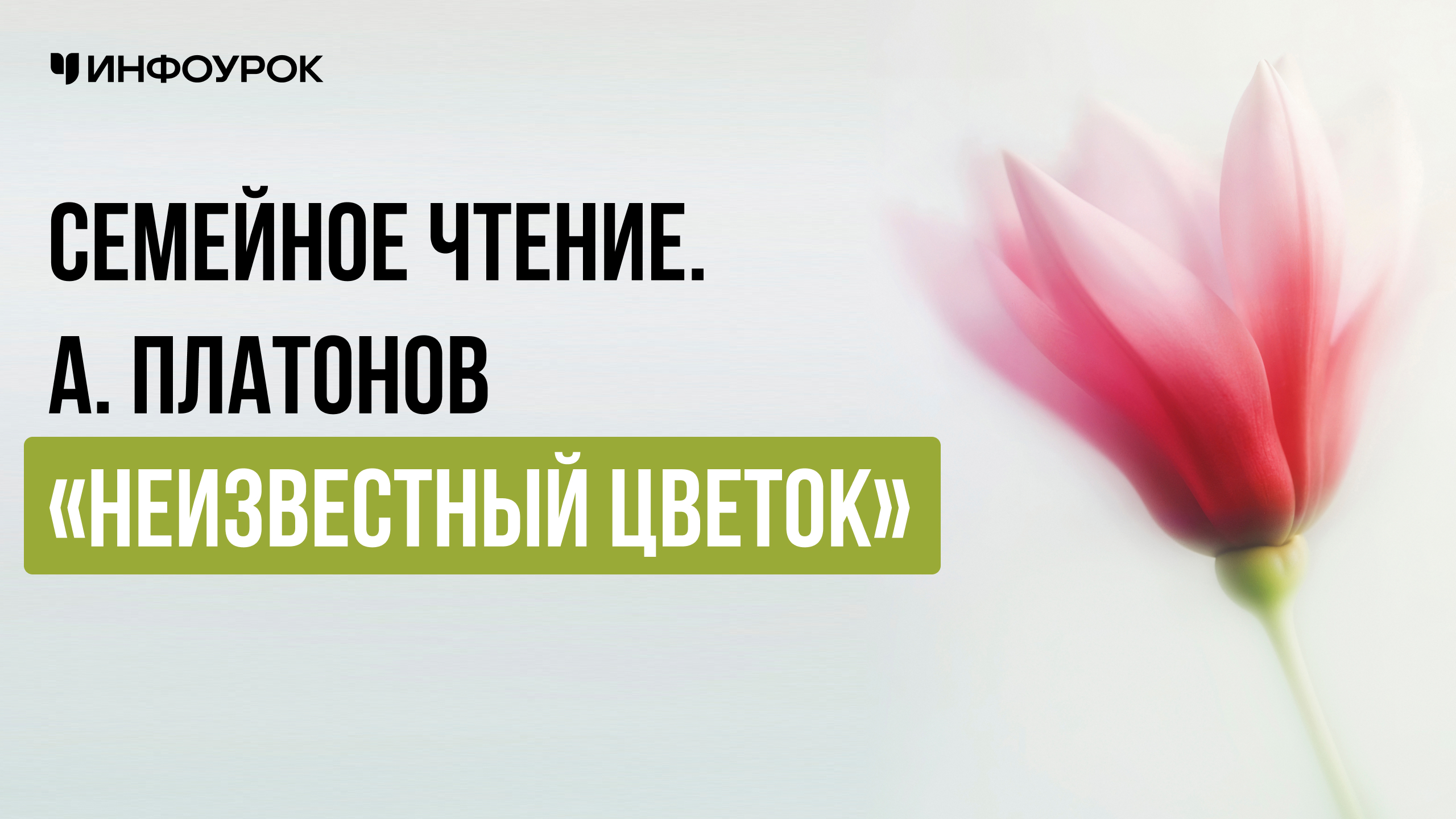 Семейное чтение. А. Платонов «Неизвестный цветок»