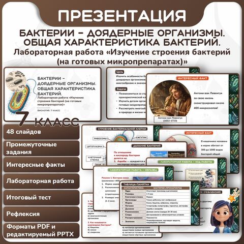 Презентация 