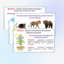 Презентация «Жизнедеятельность организмов», 5 класс