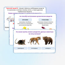 Презентация «Жизнедеятельность организмов», 5 класс