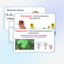 Презентация «Жизнедеятельность организмов», 5 класс