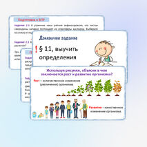 Презентация «Жизнедеятельность организмов», 5 класс