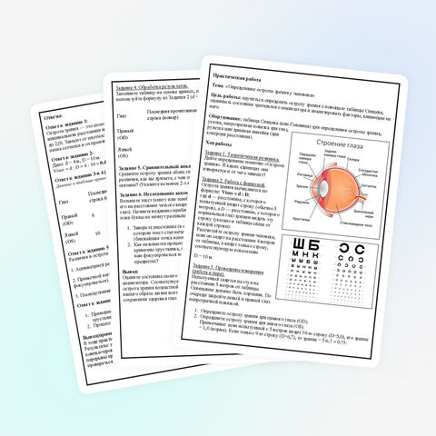 Практическая работа 
