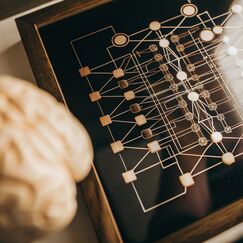 Обложка курса 'Психотипология и профайлинг: традиционные и цифровые методы анализа личности'