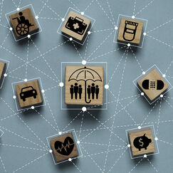 Обложка курса 'Социальные нормы и регуляторы общественного поведения'