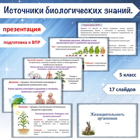 Презентация «Жизнедеятельность организмов», 5 класс