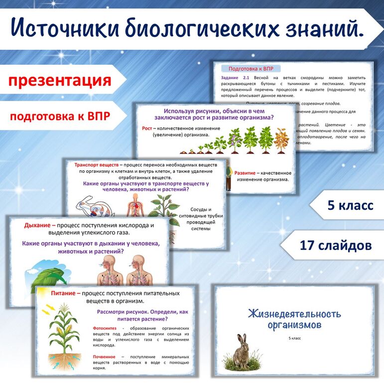 Презентация «Жизнедеятельность организмов», 5 класс