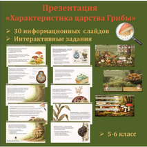 Презентация по биологии “Характеристика царства Грибы”. 5 класс.