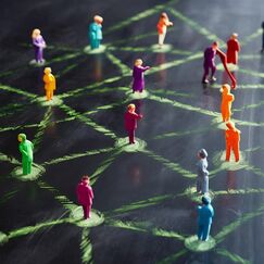 Обложка курса 'Основы социальной структуры и контроля в обществе'