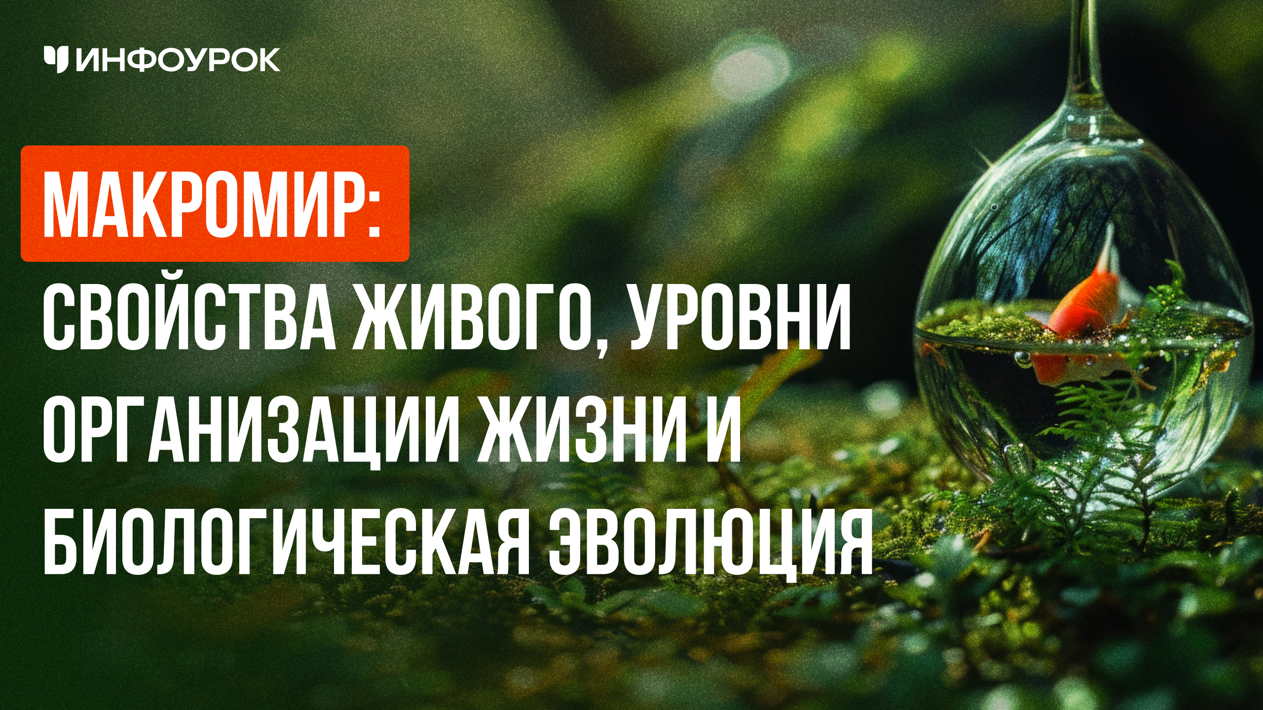 Обложка курса