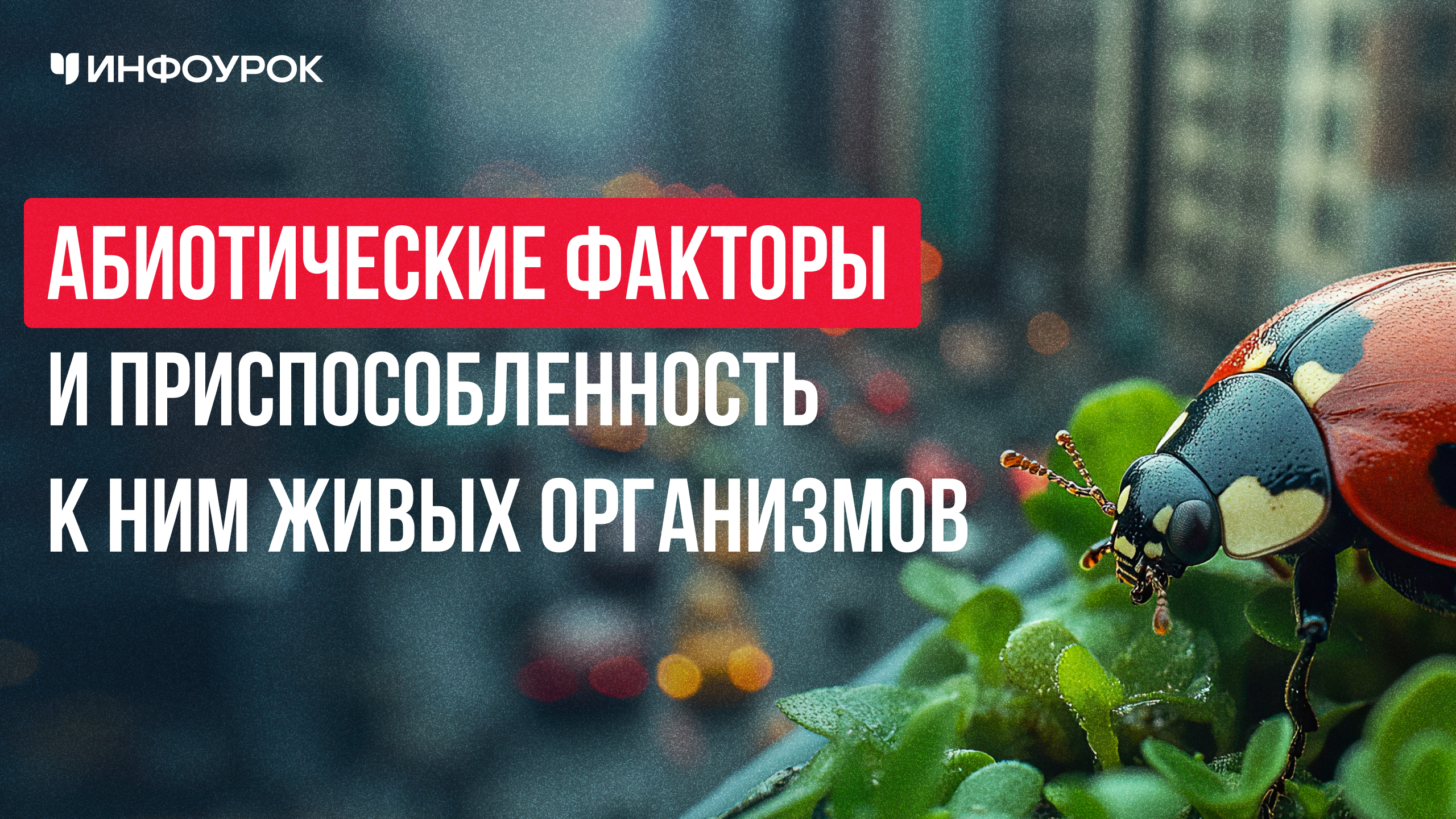 Обложка курса