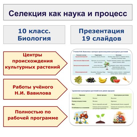 Презентация по биологии. 10 класс. Тема: «Селекция как наука и процесс»