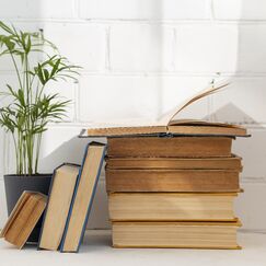 Обложка курса 'Философия мести и справедливости: А. Дюма и Ф.М. Достоевский'