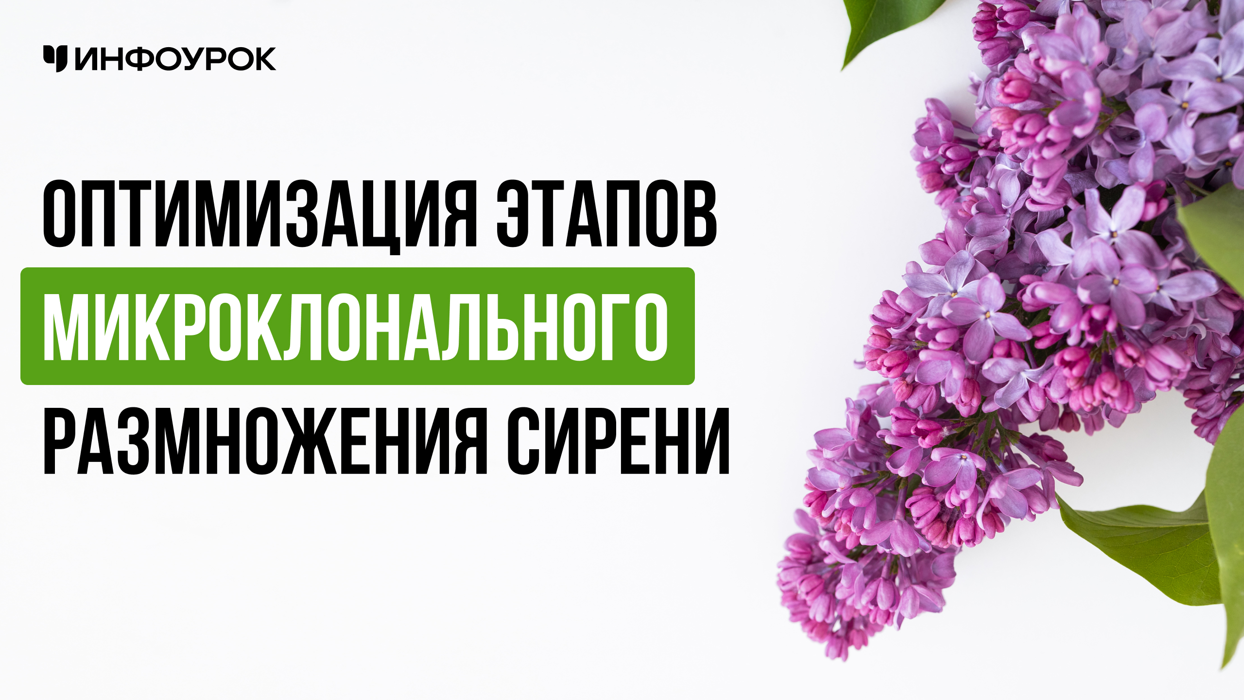 Обложка курса