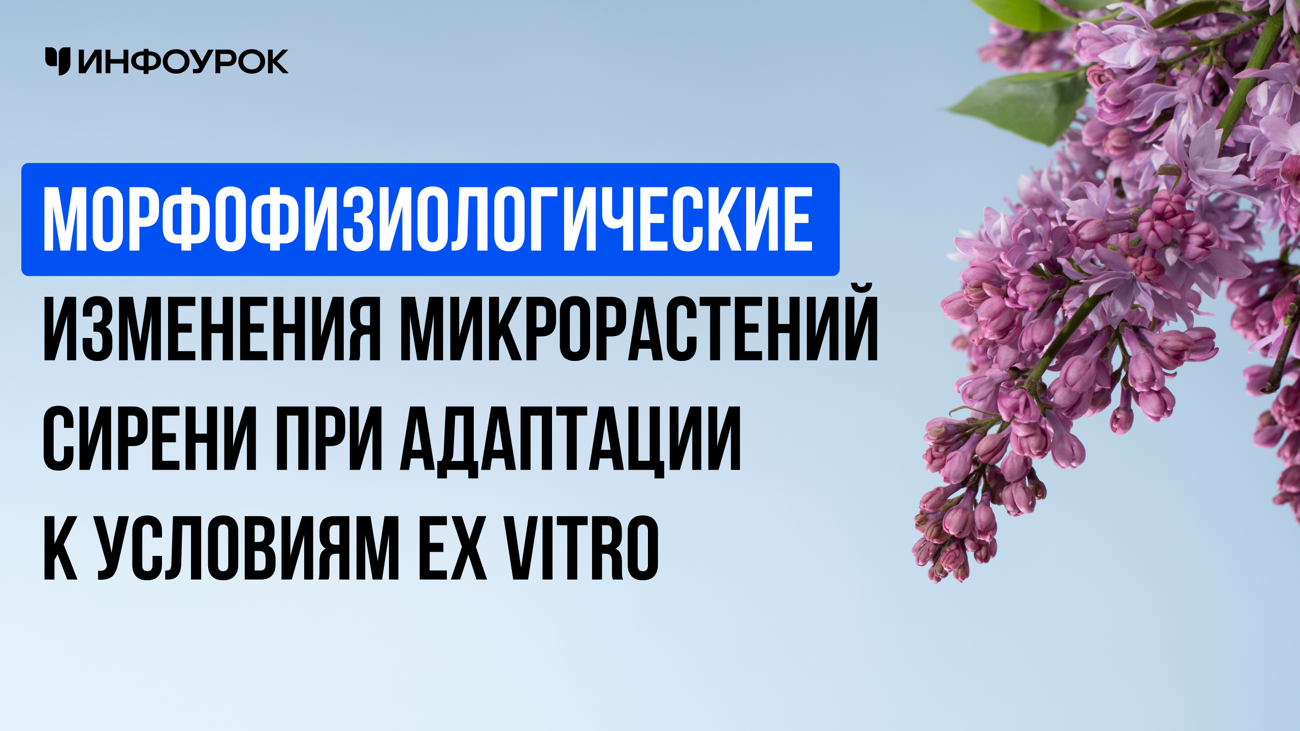 Обложка курса