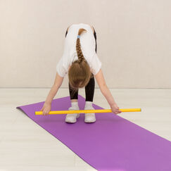 Обложка курса 'Методическое сопровождение физического развития дошкольников: гибкость и осанка'