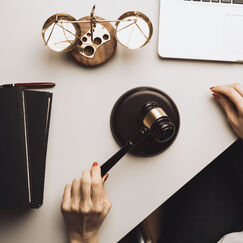 Правовое регулирование предпринимательской деятельности и антикоррупционные стандарты