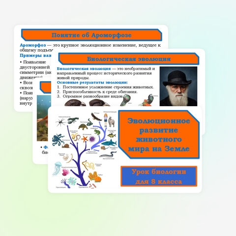 Презентация 