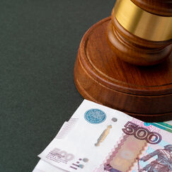 Обложка курса 'Правовые основы и институциональные аспекты банкротства'