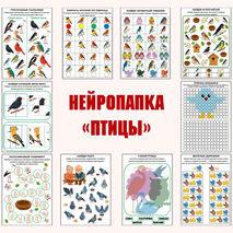 Нейропапка «Птицы»: сборник нейропсихологических упражнений на развитие высших психических функций