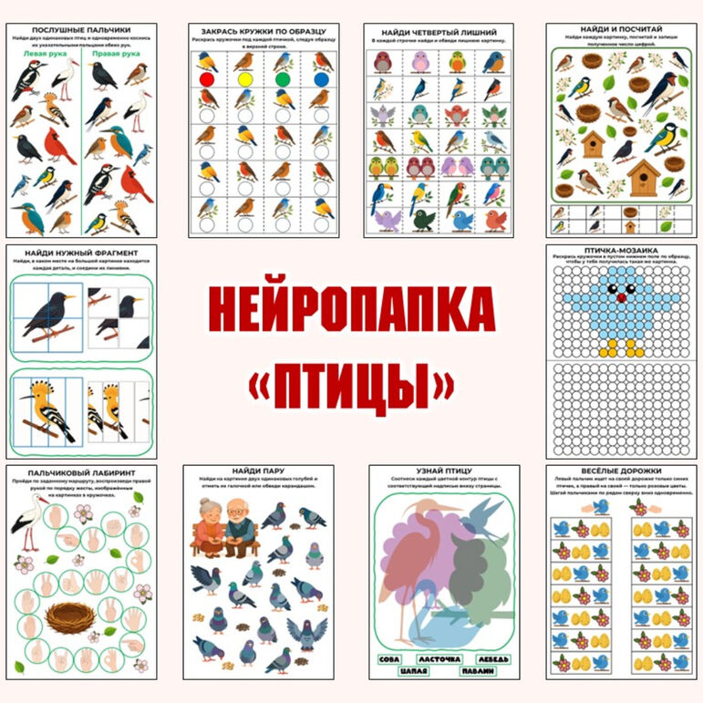Нейропапка «Птицы»: сборник нейропсихологических упражнений на развитие высших психических функций