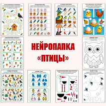 Нейропапка «Птицы»: сборник нейропсихологических упражнений на развитие высших психических функций