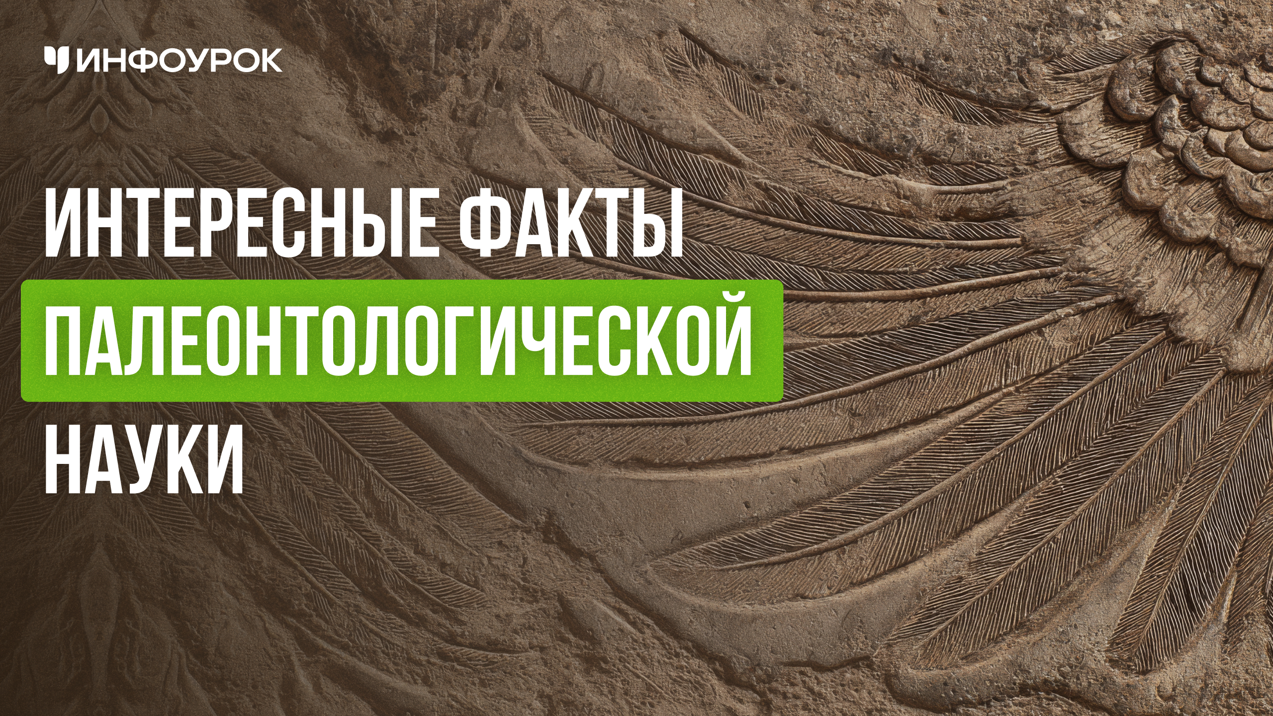 Обложка курса