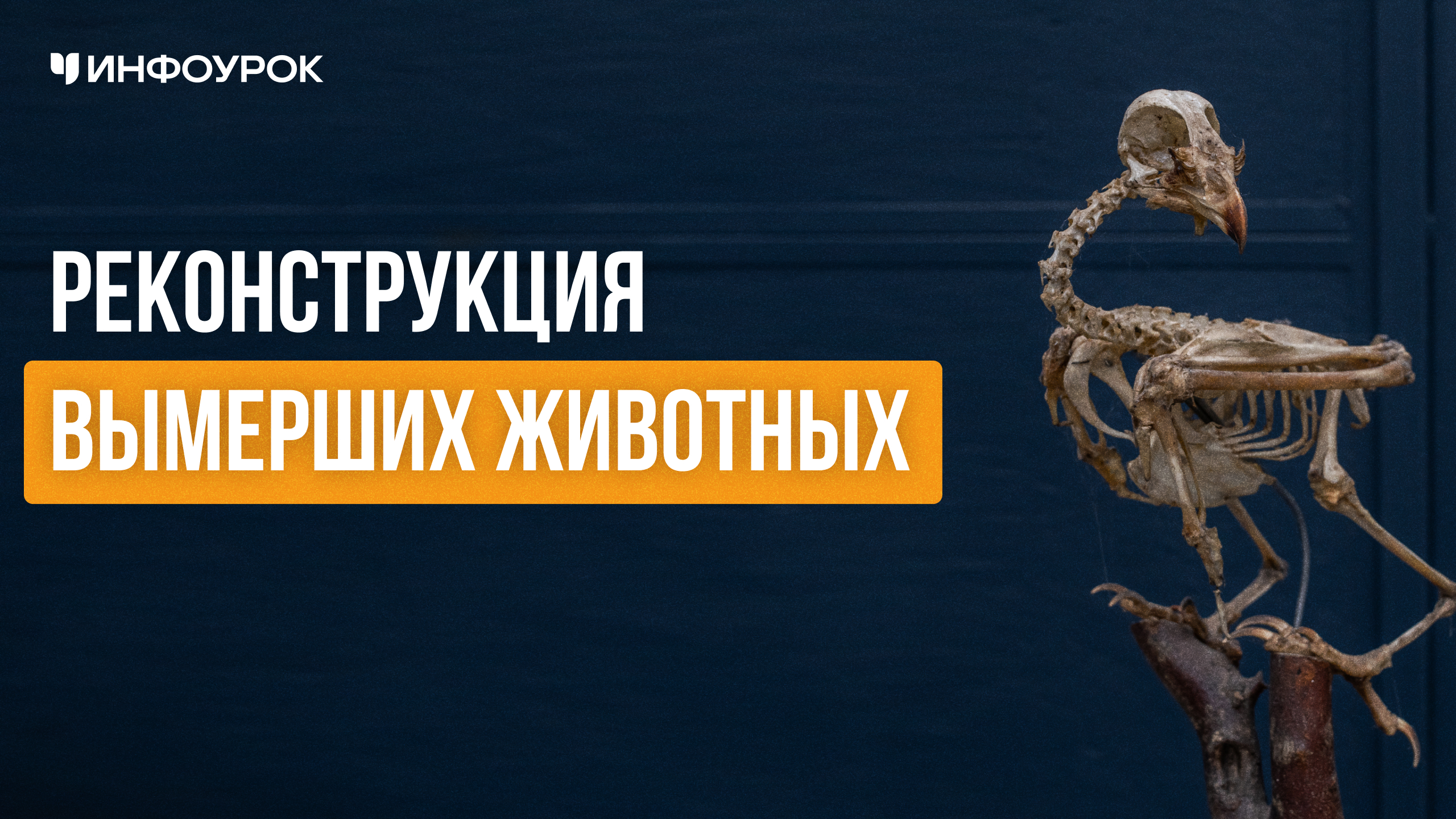 Обложка курса