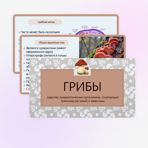 Презентация 