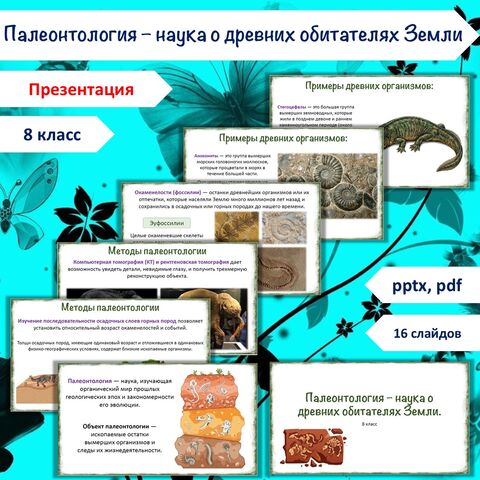 Презентация «Палеонтология – наука о древних обитателях Земли» + Практическая работа «Исследование ископаемых остатков вымерших животных», 8 класс