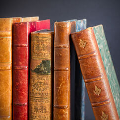 Обложка курса 'Великие русские писатели: творчество Н.А. Некрасова, И.С. Тургенева, А.Н. Островского, Ф.И. Тютчева и А.А. Фета'