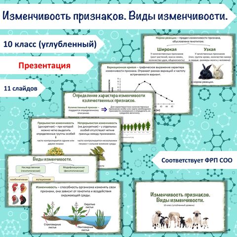 Презентация «Изменчивость признаков. Виды изменчивости», 10 класс (углубленный уровень)