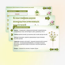 Презентация «Классификация покрытосеменных растений». Биология. 7 класс
