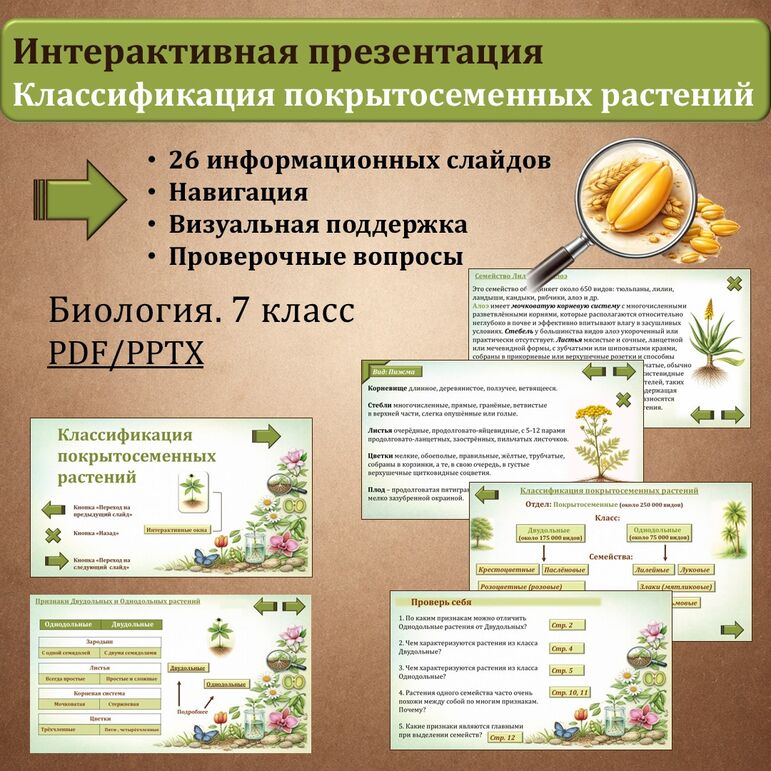 Презентация «Классификация покрытосеменных растений». Биология. 7 класс
