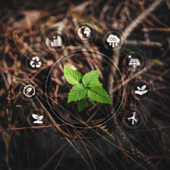 Экологическая безопасность и природоохранная деятельность