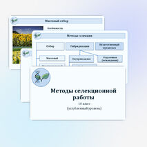 Презентация «Методы селекционной работы» 10 класс (углубленный уровень)