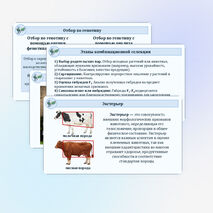 Презентация «Методы селекционной работы» 10 класс (углубленный уровень)