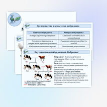 Презентация «Методы селекционной работы» 10 класс (углубленный уровень)