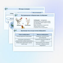 Презентация «Методы селекционной работы» 10 класс (углубленный уровень)